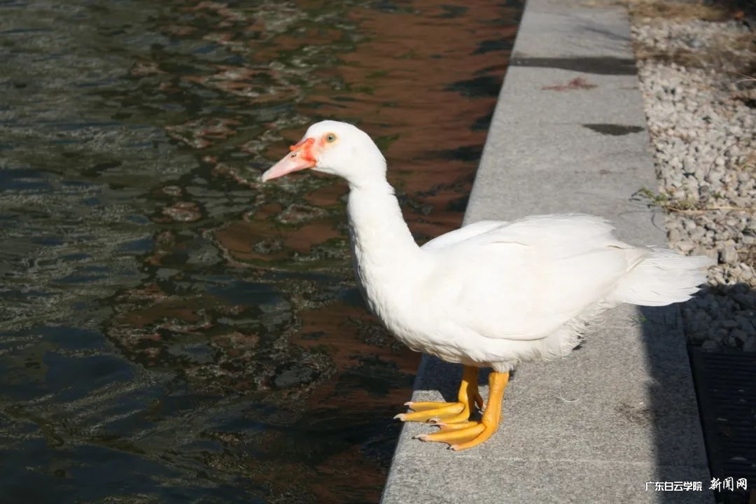 ͼƬ 5.png ͼƬ 5.png