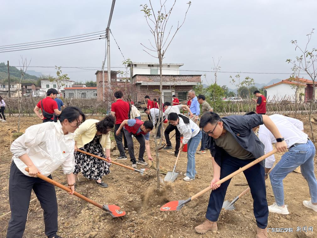 ͼƬ 4.png ͼƬ 4.png