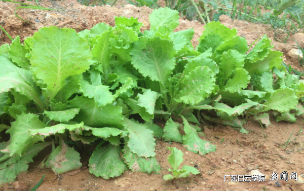 virtual_attach_file.vsb?afc=6LNL_bUmAVLmN8LF4vYL4VRLzLZMlr9folCDM87iUmr7UzC0gihFp2hmCIa0oSybokyboSysnlL4MzA2n7U8ol-sL4G4M4nRol-sU8UYM4nFM8QkM8W2nRTFMm6VMmlJv2bjo4OeosXEgDTJQty0LzL8LSyPLmGiM47JqdAnx&oid=2103874463&tid=1341&nid=120571&e= 图片 5.png