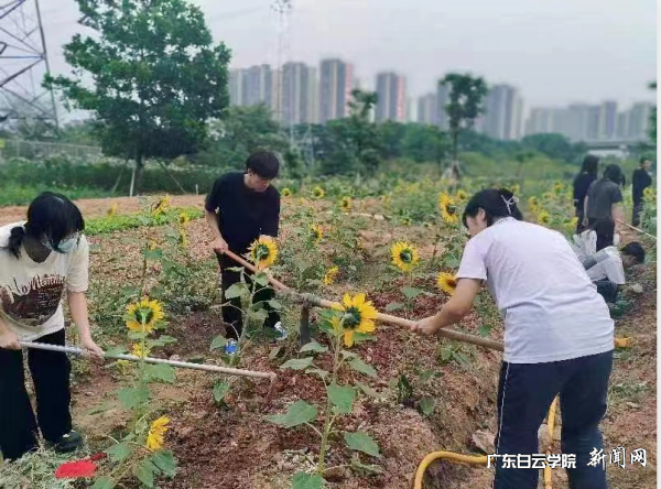 virtual_attach_file.vsb?afc=6nzU_PLR-YU4TfoF7V2MzTkUNW7MmL98LlLanm-inNU8LRN0gihFp2hmCIa0nkhfUYhRMYyiLm9iUmAfM4-aoRTfnzV2L7Q7nm-ZLRlaM8QFLR6VUNLPUmWFM87ioR9Jv2bjo4OeosXEgDTJQty0LzL8LSyPLmGiM47JqdAnx&oid=2103874463&tid=1341&nid=120571&e= 图片 2.png