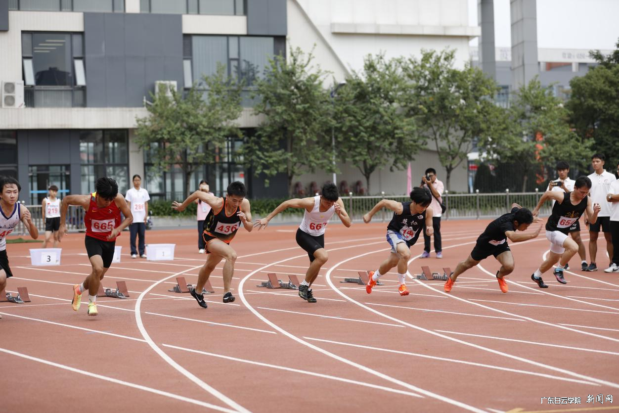 ͼƬ 8.png ͼƬ 8.png