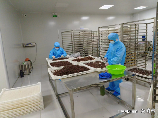 ͼƬ 10.png ͼƬ 10.png