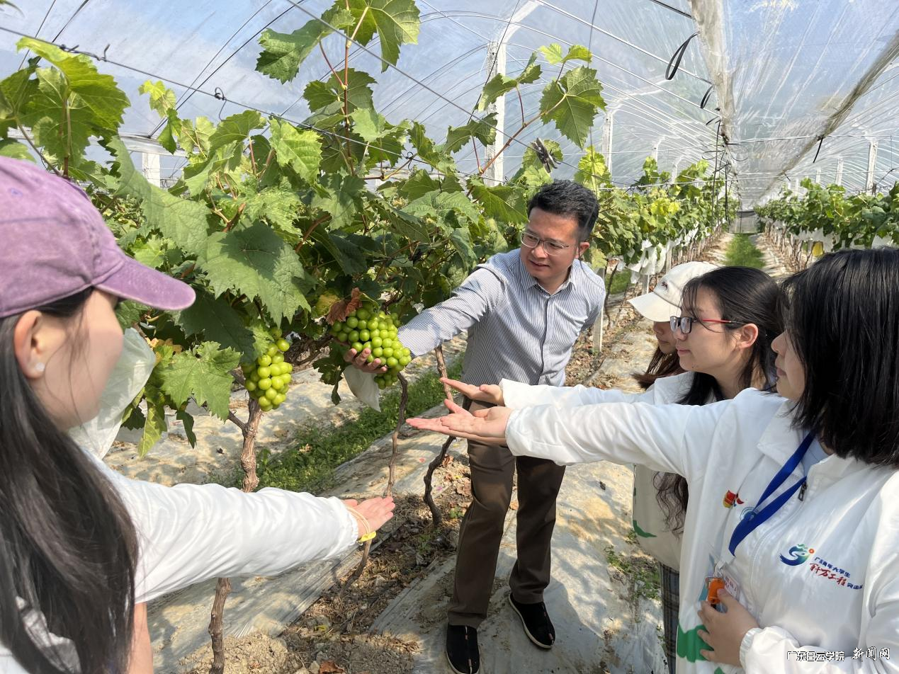 ͼƬ 1.png ͼƬ 1.png