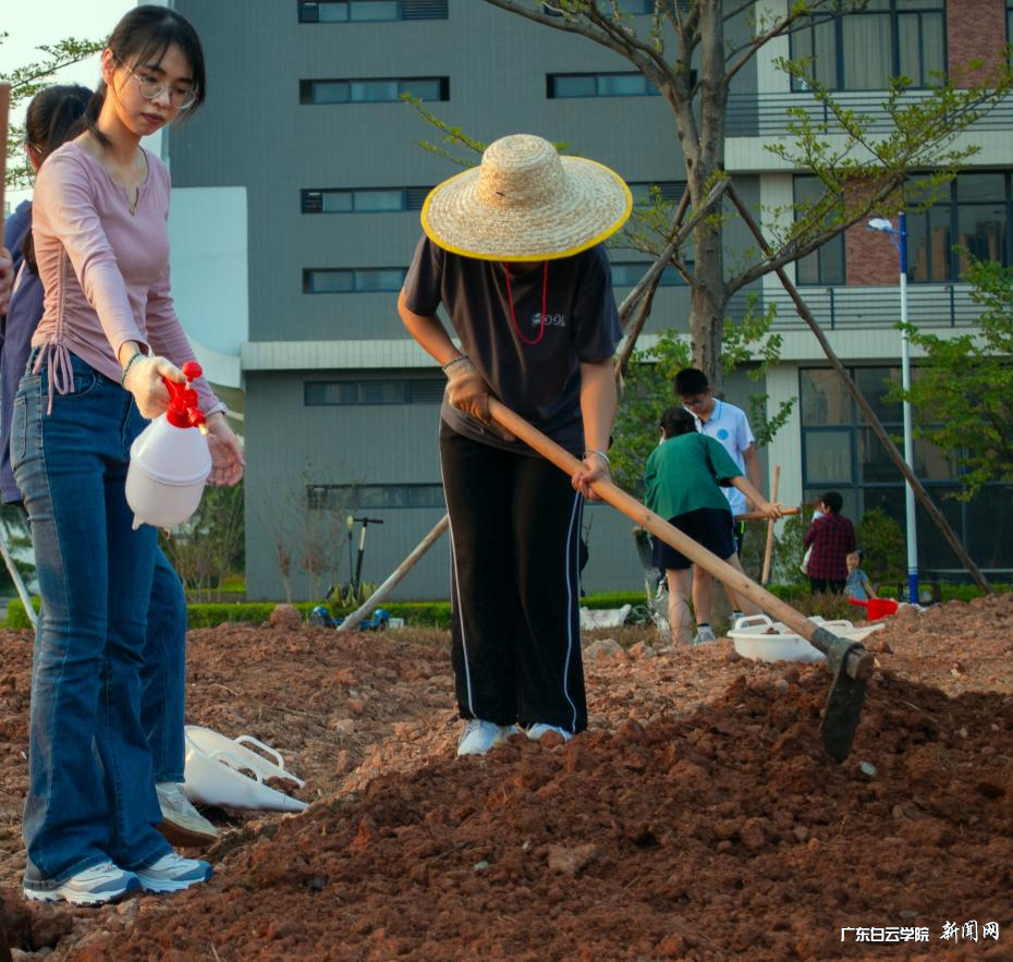 ͼƬ 3.png ͼƬ 3.png