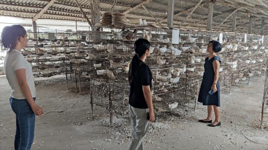 wps4.png Ê×Ò³|Ò¼ºÅÓéÀÖ - ÏàÐÅÆ·ÅƵÄʵÁ¦