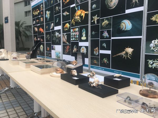 v2veo4Oe_jw0qIbtpYyPL4UPg474MzNiLSbw62E8c&oid=2103874463&tid=1341&nid=135951&e= 展览现场.jpg