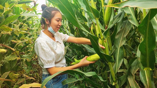 virtual_attach_file.vsb?afc=DLmls4MNCPoR9PUZ4QkozGbU4QfnlUbsM7-iozVkolUiU8-0gihFp2hmCIa0UShVU1yaM1y4nmVVL87aL7WRLR-4U8VfLlQfMlCYL4NiUzTFM7UZMmNDU4MFLm7Dol7Jqjfjo4OeosXEgDTJQty0LzL8LSyYMRvDMR7JqdEnx&oid=2103874463&tid=1341&nid=247641&e= 20210903094745676.jpg