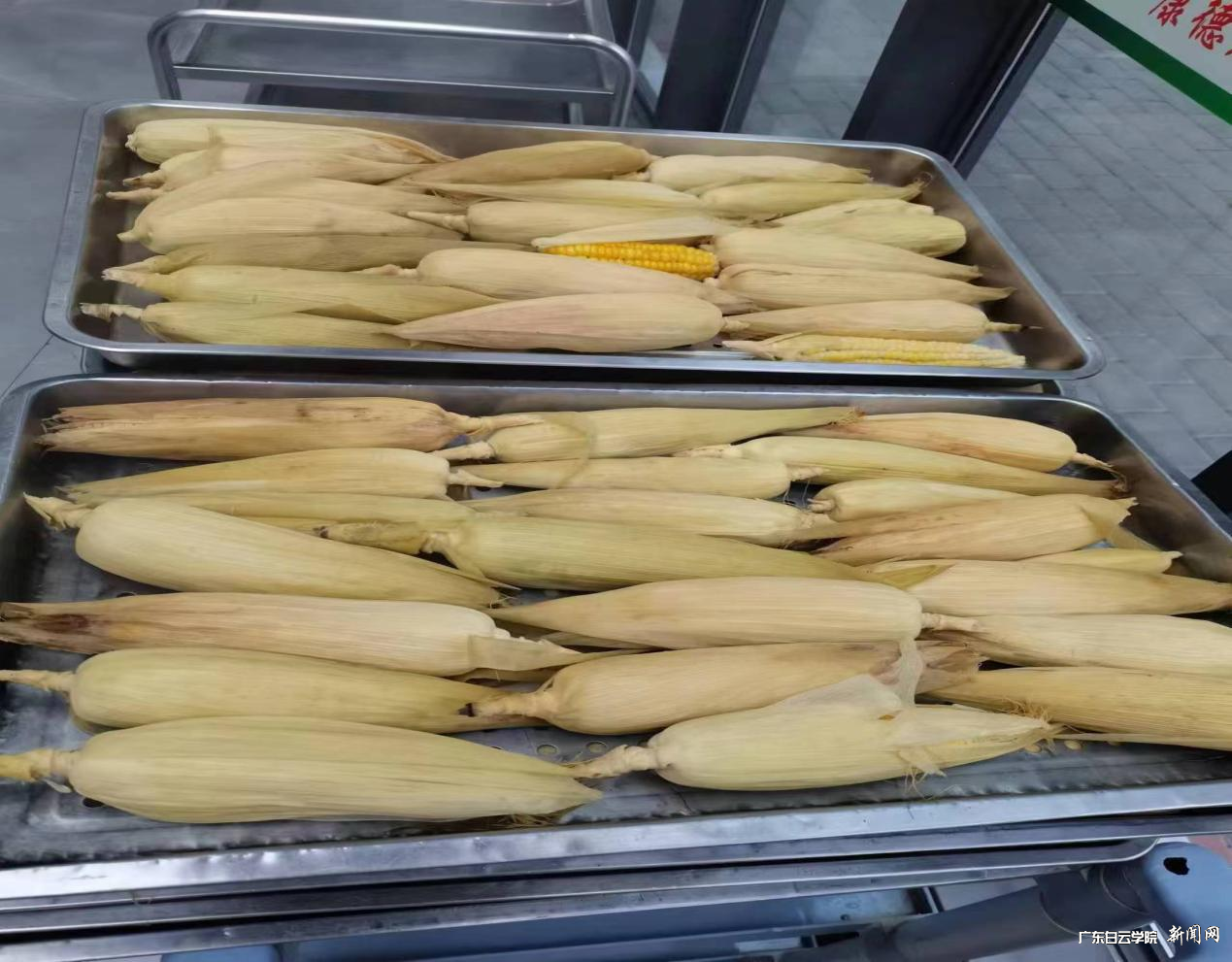 ͼƬ 4.png ͼƬ 4.png