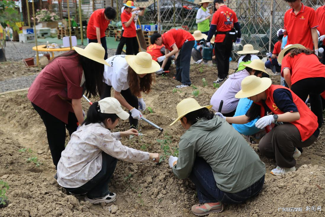 图片 7.png 图片 7.png