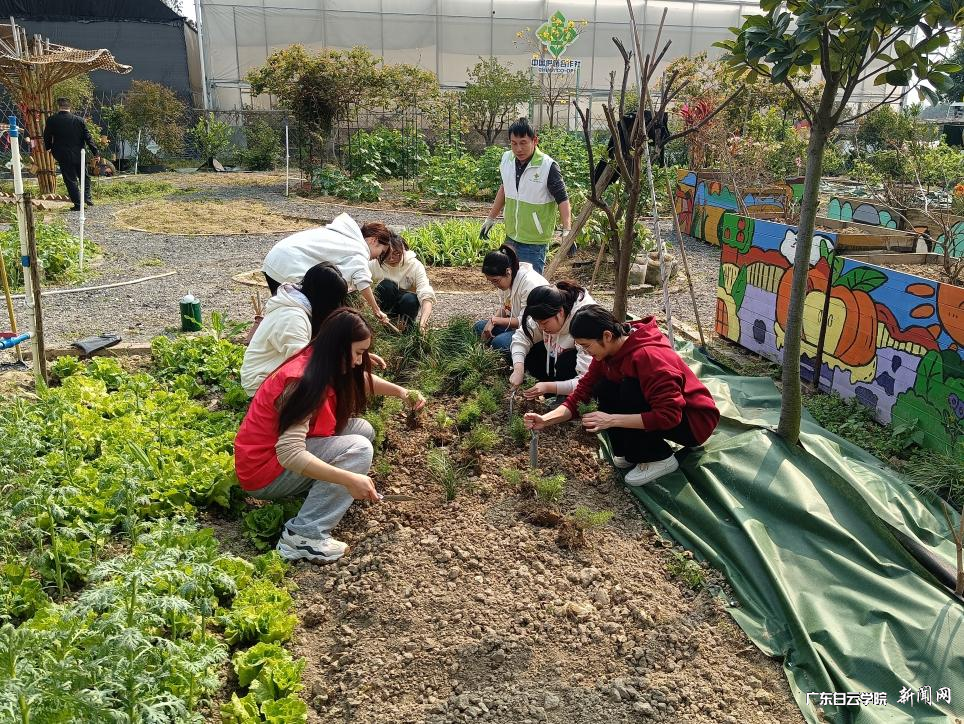 图片 1.png 图片 1.png