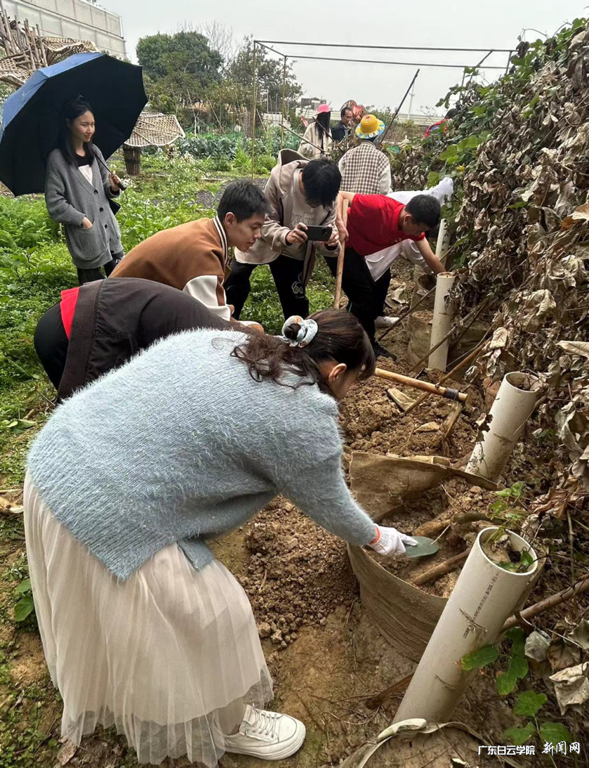 图片 4.png 图片 4.png