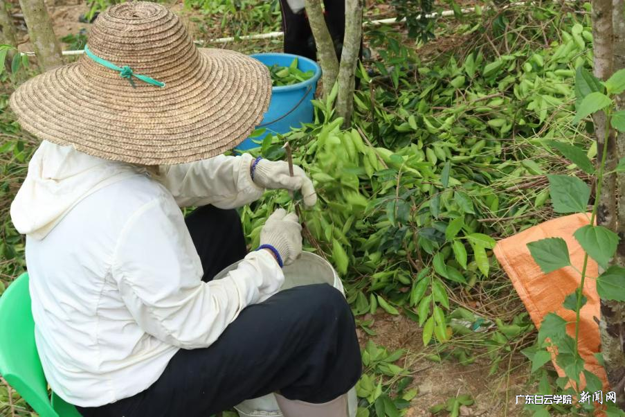 ͼƬ 3.png ͼƬ 3.png