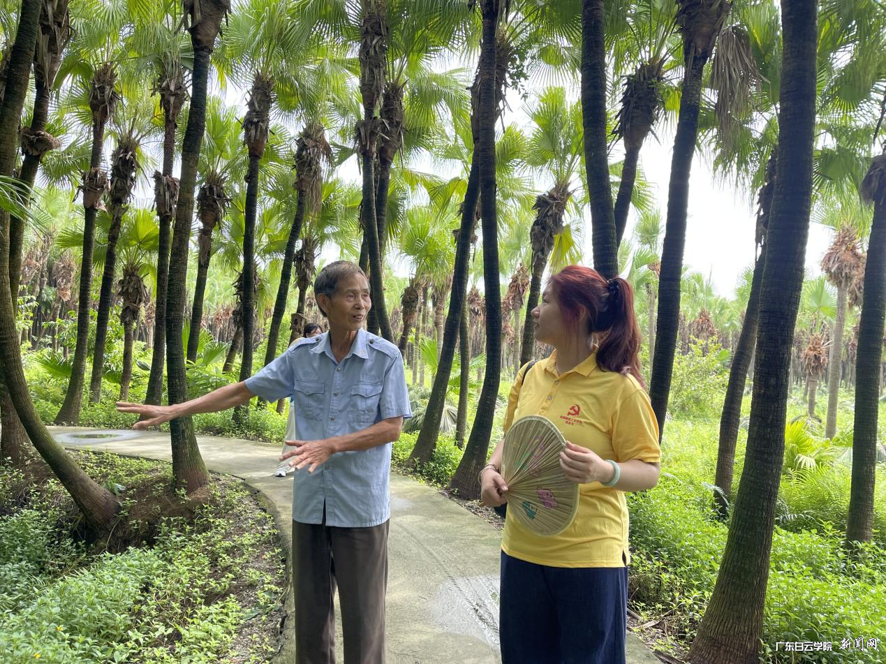 ͼƬ 4.png ͼƬ 4.png