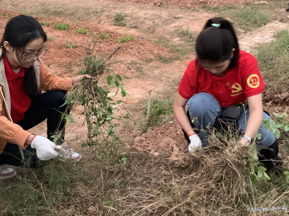 ͼƬ 5.png ͼƬ 5.png