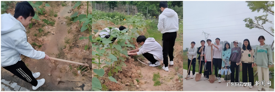 22¹úó2°àÀͶ¯Ð¡×é.png 22¹úó2°àÀͶ¯Ð¡×é.png