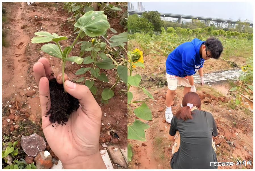 22Êý×Ö¾¼Ã2°à.png 22Êý×Ö¾¼Ã2°à.png