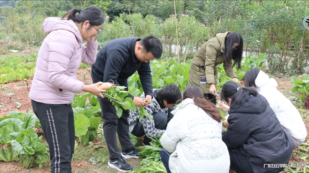 ͼƬ 1.png ͼƬ 1.png