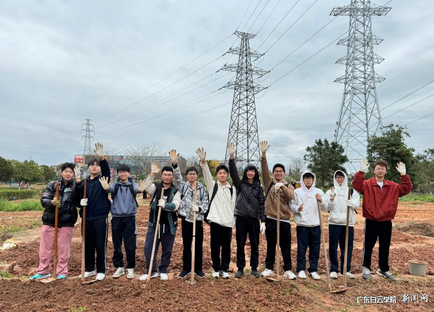 ͼƬ 5.png ͼƬ 5.png