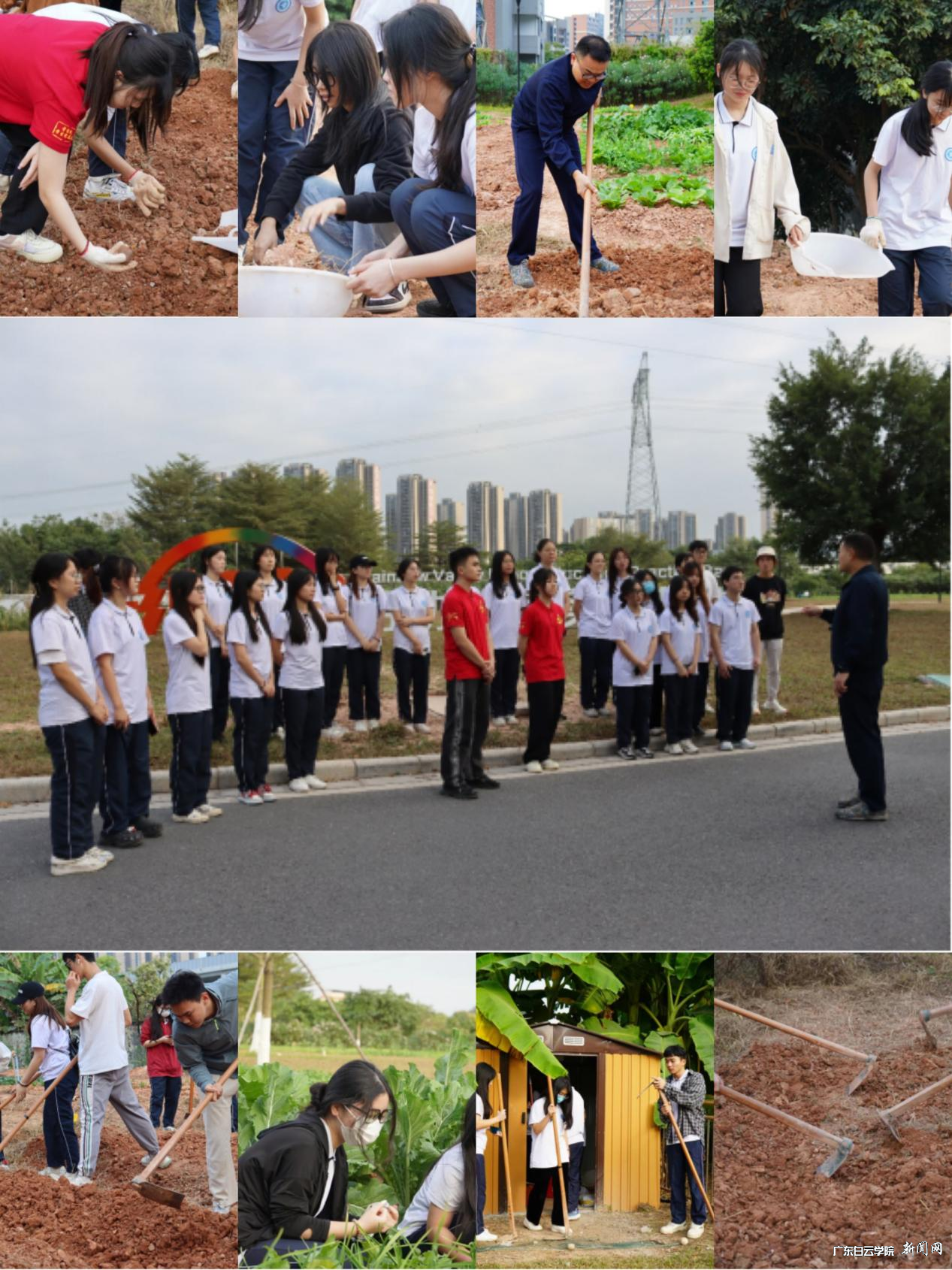 ͼƬ 5.png ͼƬ 5.png