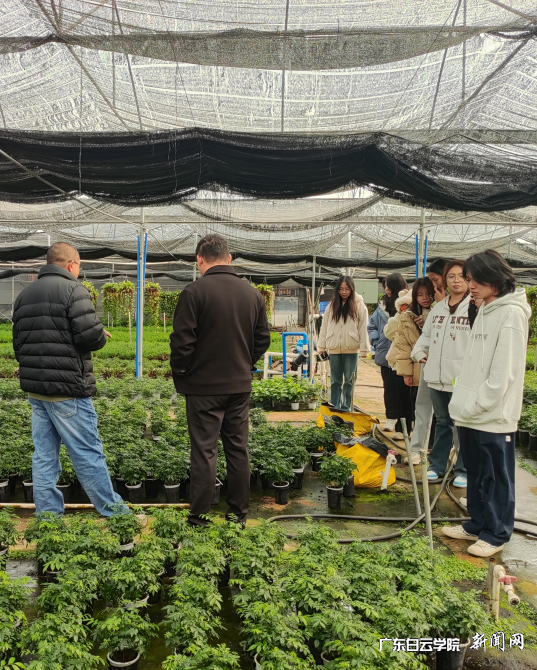 图片 2.png 图片 2.png