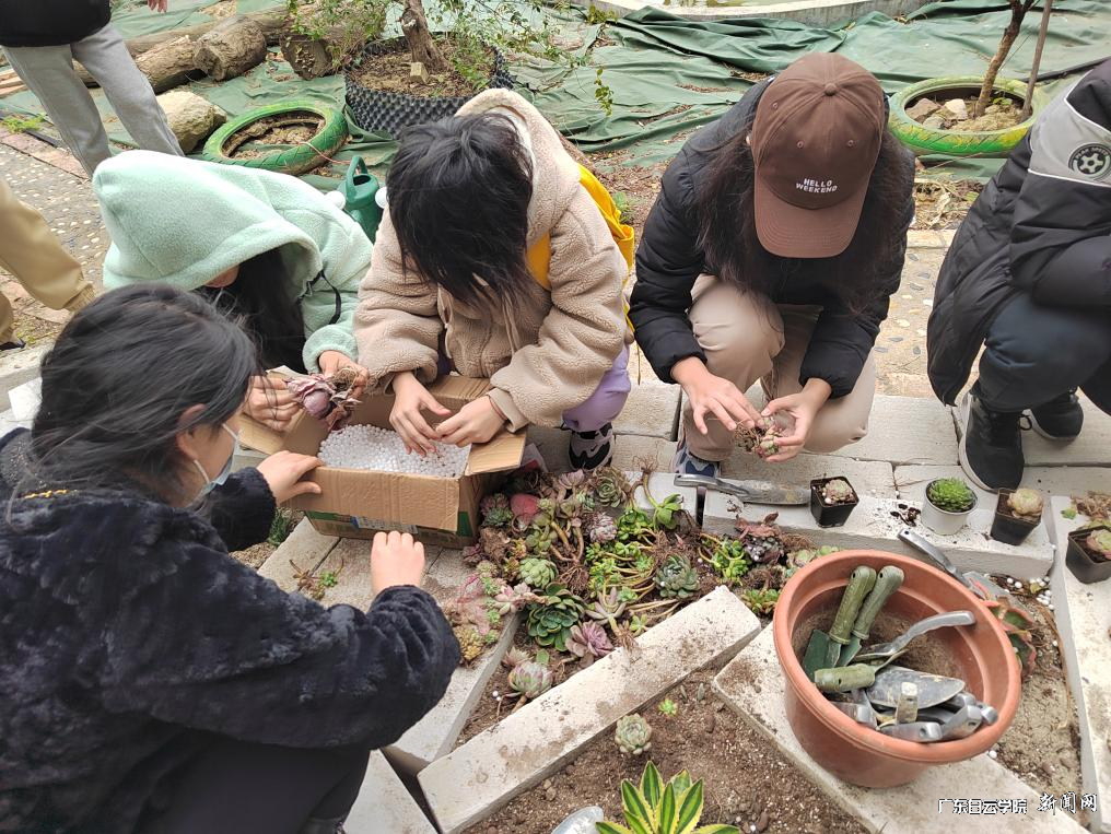 ͼƬ 1.png ͼƬ 1.png