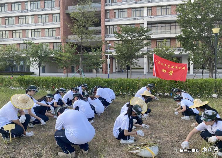 ͼƬ 1.png ͼƬ 1.png