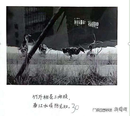 ͼƬ 3.png ͼƬ 3.png