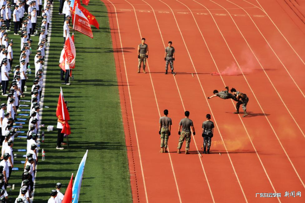 ͼƬ11.png ͼƬ11.png