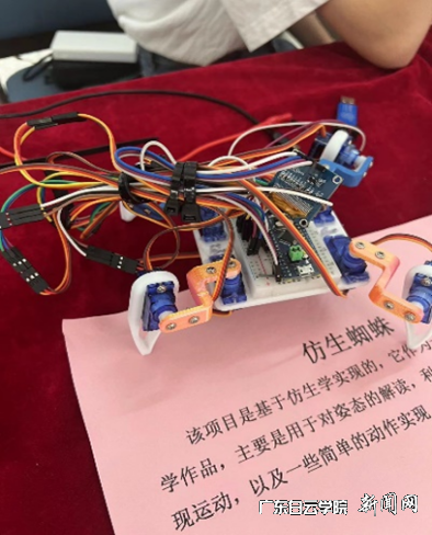 ͼƬ 6.png ͼƬ 6.png