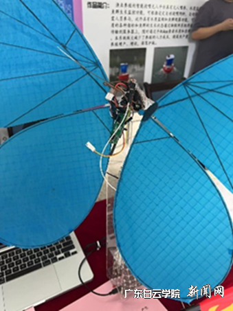 ͼƬ 5.png ͼƬ 5.png