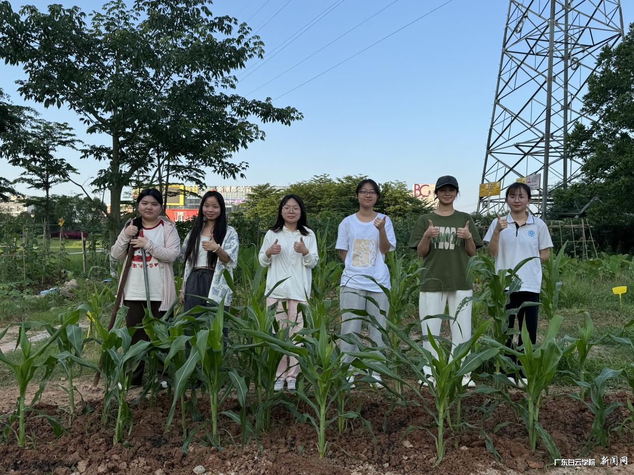 ͼƬ 3.png ͼƬ 3.png