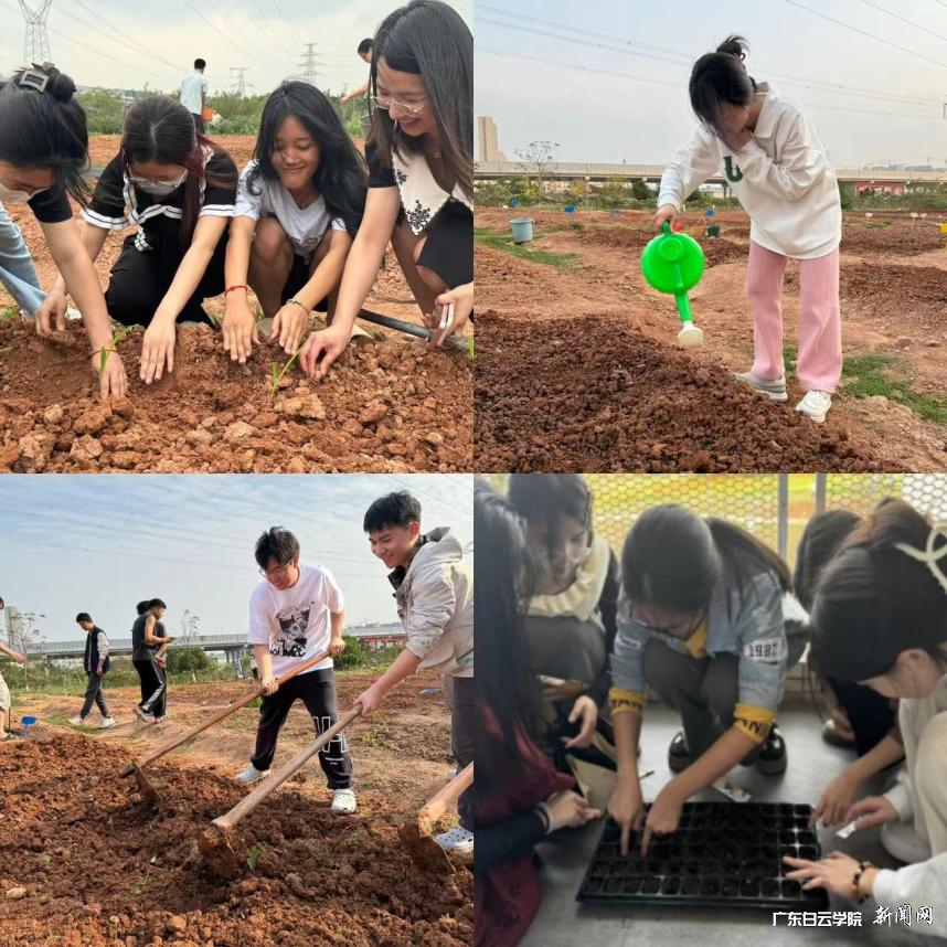 ͼƬ 1.png ͼƬ 1.png