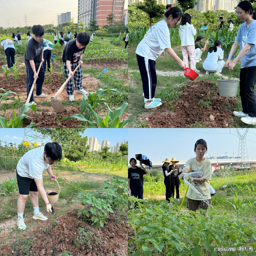 ͼƬ 2.png ͼƬ 2.png