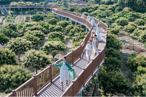 wpsE264.tmp.png wpsE264.tmp.png