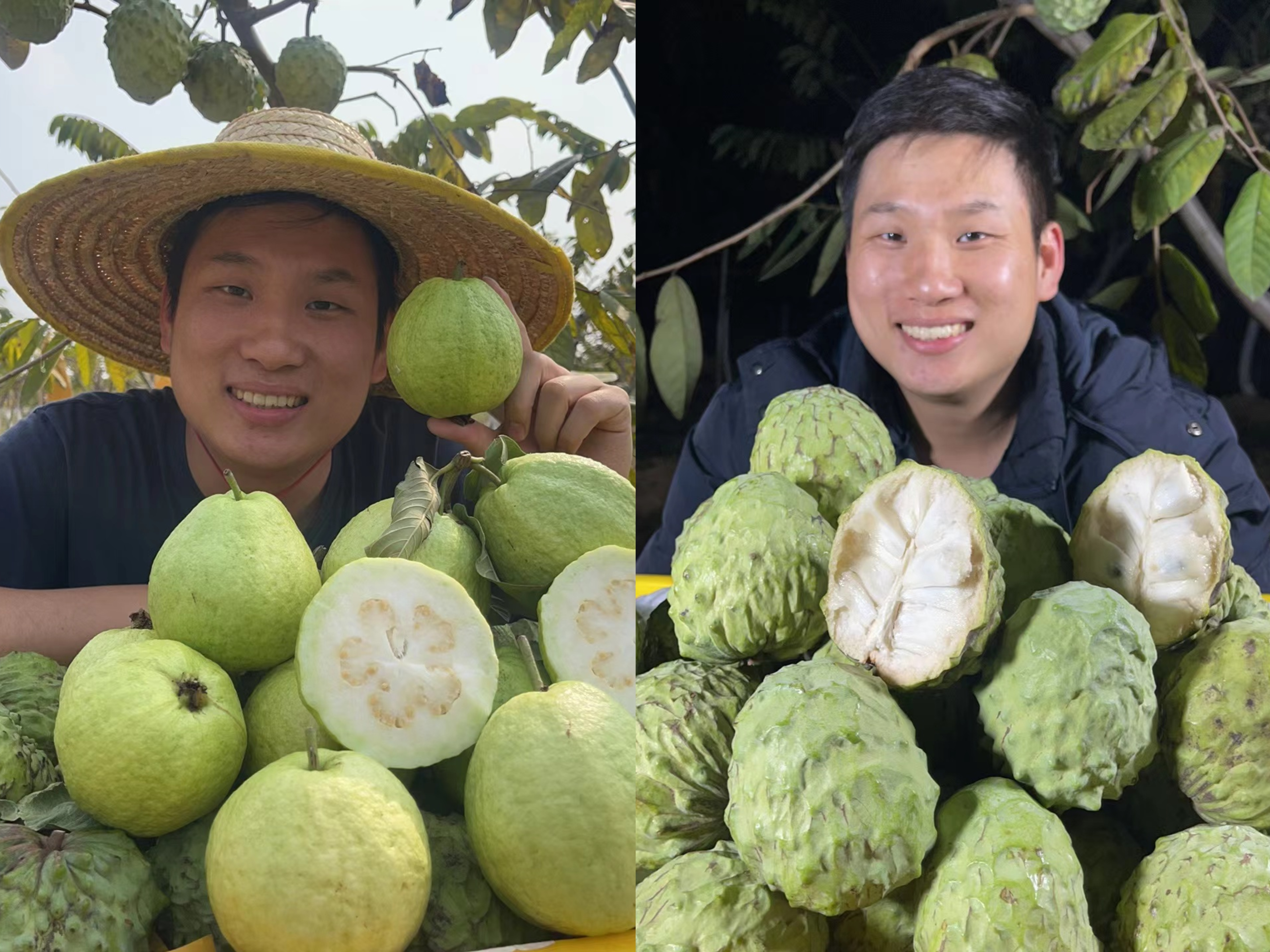 ͼƬ 4.png ͼƬ 4.png