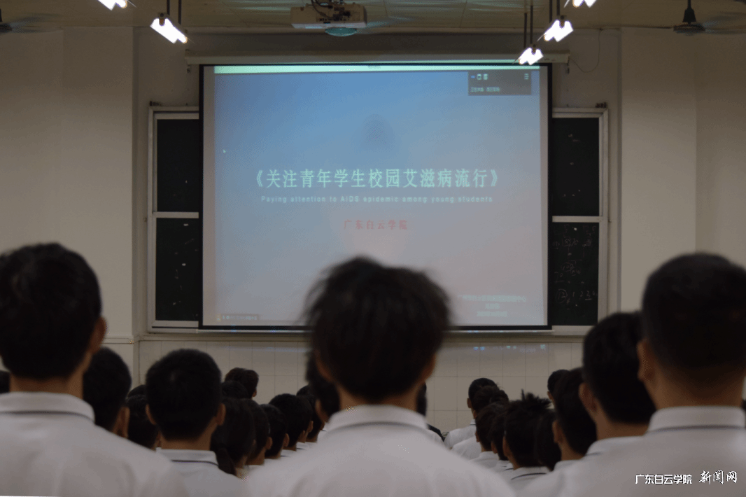 ͼƬ 1.png ͼƬ 1.png