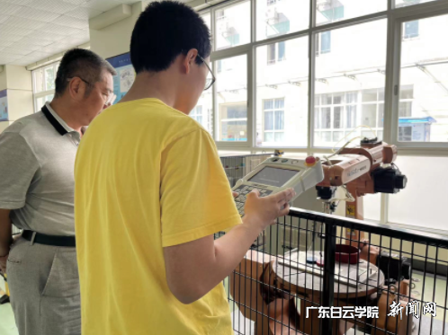 ͼƬ 7.png ͼƬ 7.png