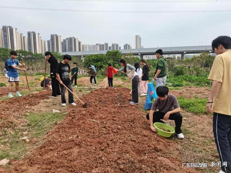 图片 1.png 图片 1.png