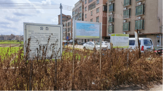 Ê×Ò³|Ò¼ºÅÓéÀÖ - ÏàÐÅÆ·ÅƵÄʵÁ¦