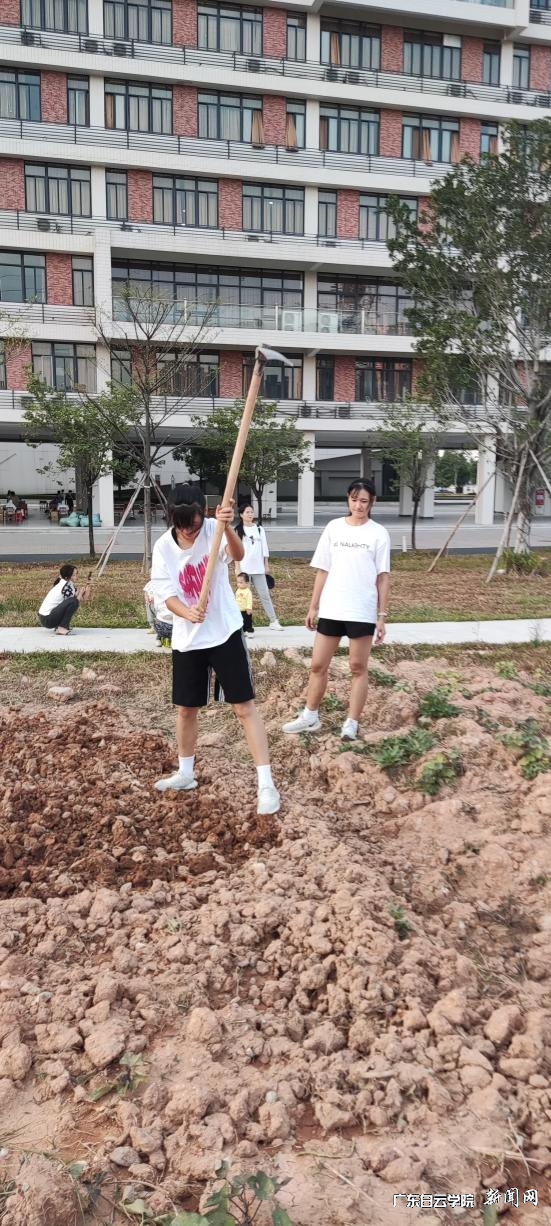 ͼƬ 2.png ͼƬ 2.png