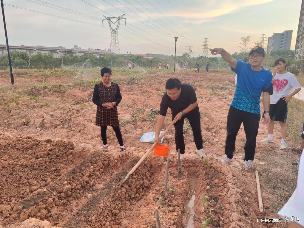 ͼƬ 1.png ͼƬ 1.png