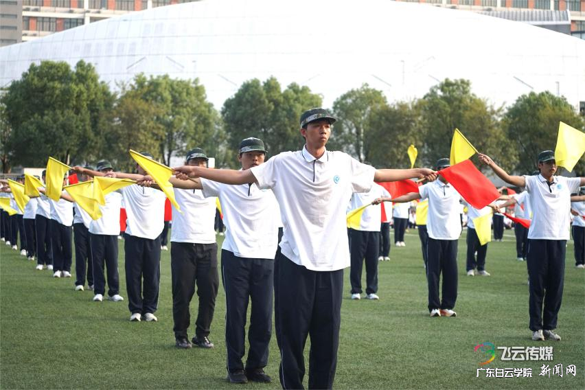 ͼƬ 10.png ͼƬ 10.png