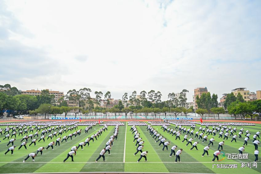 ͼƬ 12.png ͼƬ 12.png