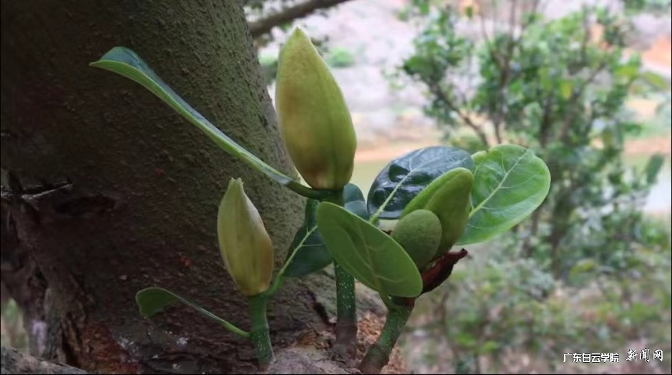 ͼƬ 3.png ͼƬ 3.png