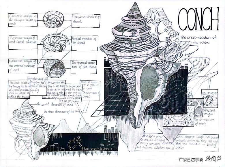 图片 3.png 图片 3.png