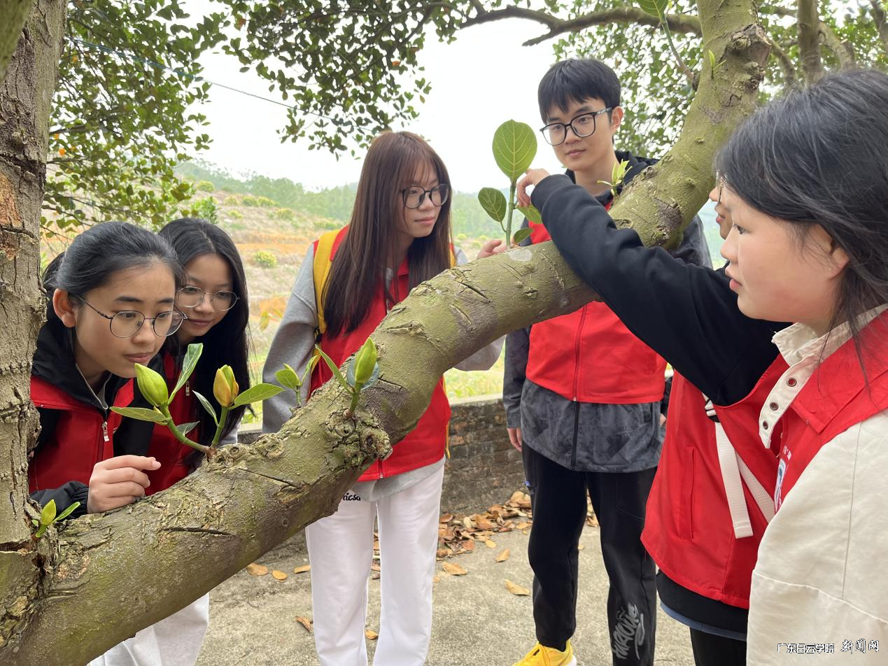 ͼƬ 4.png ͼƬ 4.png