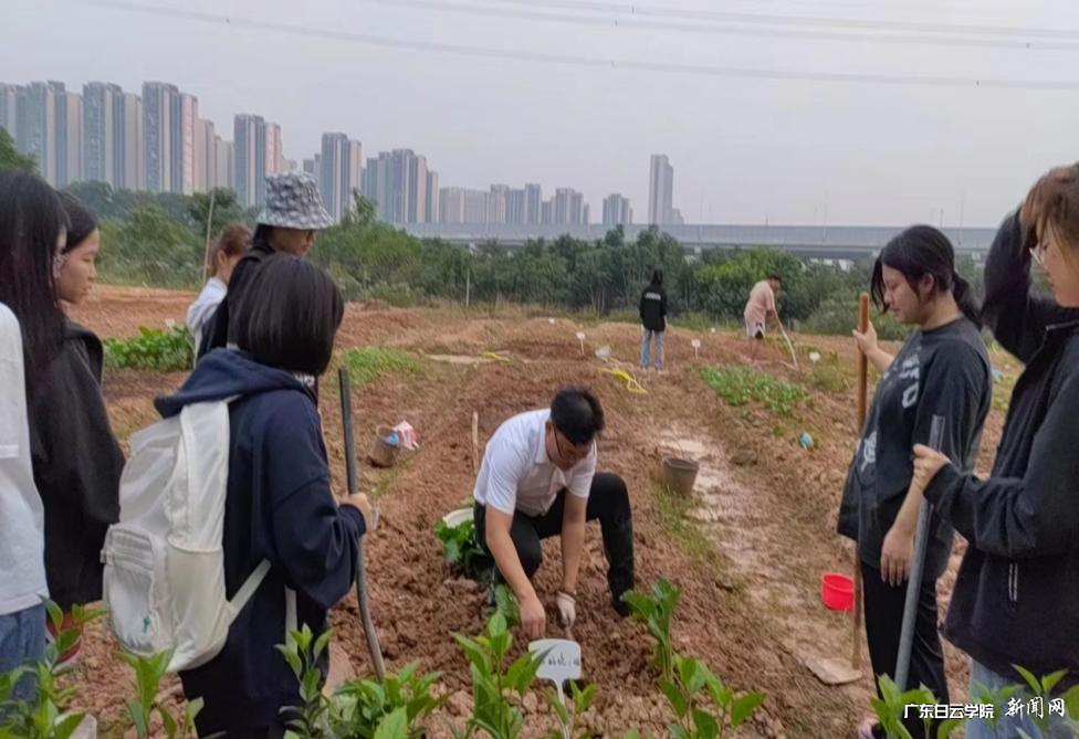 ͼƬ 2.png ͼƬ 2.png