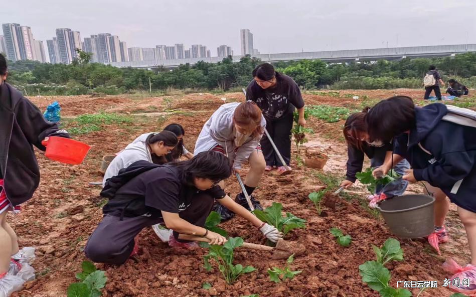 ͼƬ 3.png ͼƬ 3.png