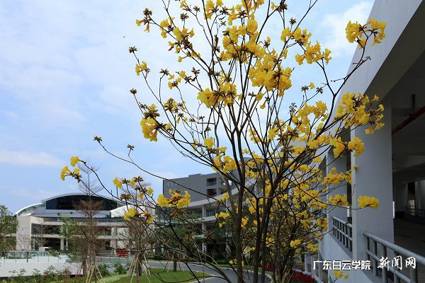 virtual_attach_file.vsb?afc=nMm6SfnRCiUzGPLzRA2U4Q7L4LYn7UlbUmGPUzC8L87YozG0gihFp2hmCIa0M1h2nSh2UYhfo77PU8LYU4C8L4-Ynm9iL49iUm6koR7Dn7WFozvZozLiU4WFLz-DnlLJqjfjo4OeosXEgDTJQty0LzL8LSyYMzvDMz7Jqdrnx&oid=2103874463&tid=1341&nid=257651&e= ´ËµØ»Æ»¨ÌØÊâÏã.jpg