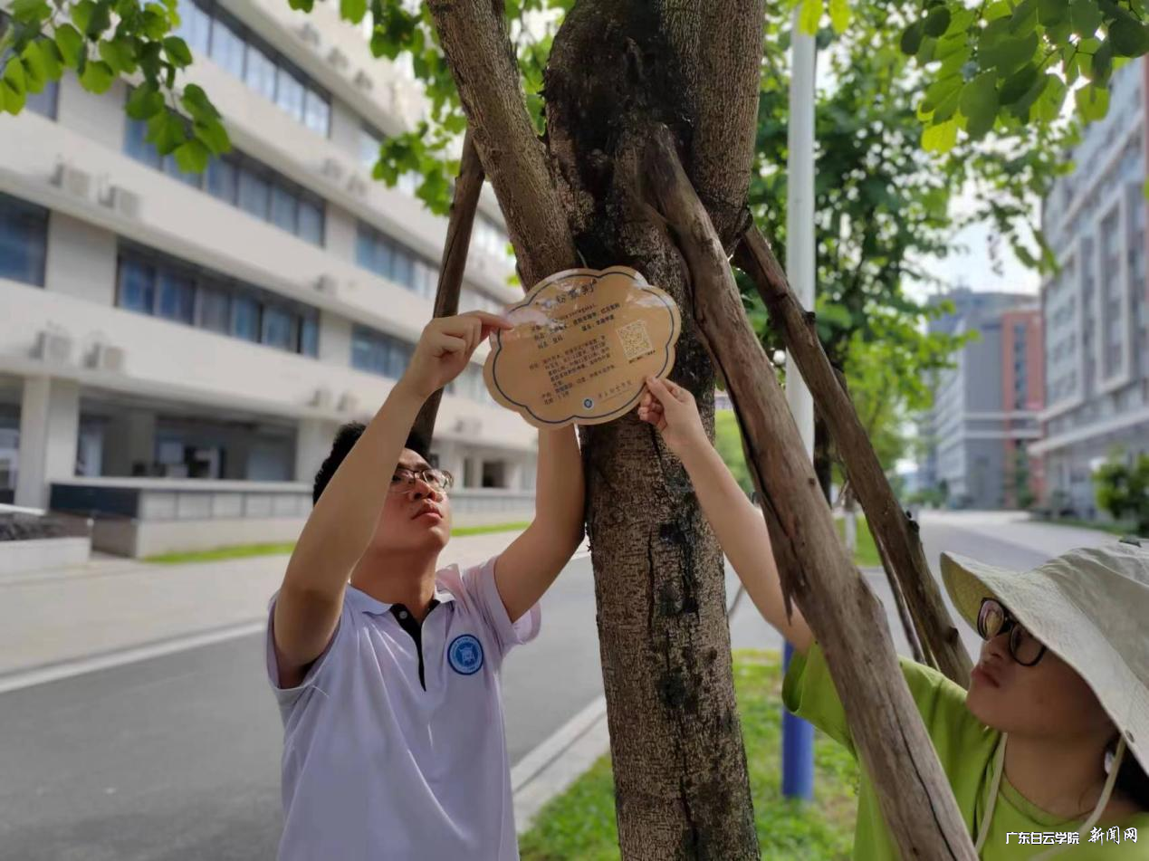 图片 4.png 图片 4.png